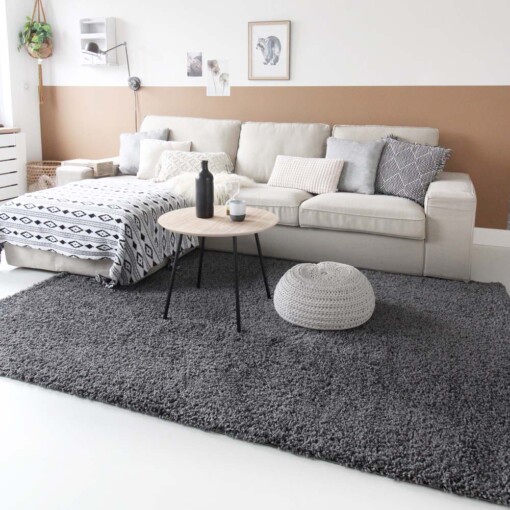 Tapis poils longs Shaggy Trend - gris