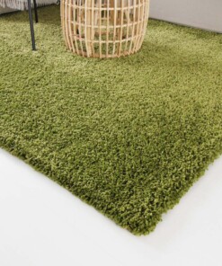 Tapis poils longs Shaggy Trend - vert