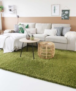 Tapis poils longs Shaggy Trend - vert