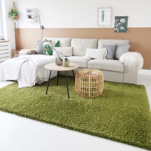 Tapis poils longs Shaggy Trend - vert