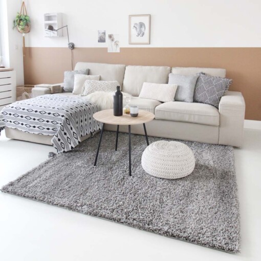 Tapis poils longs Shaggy Trend - gris clair