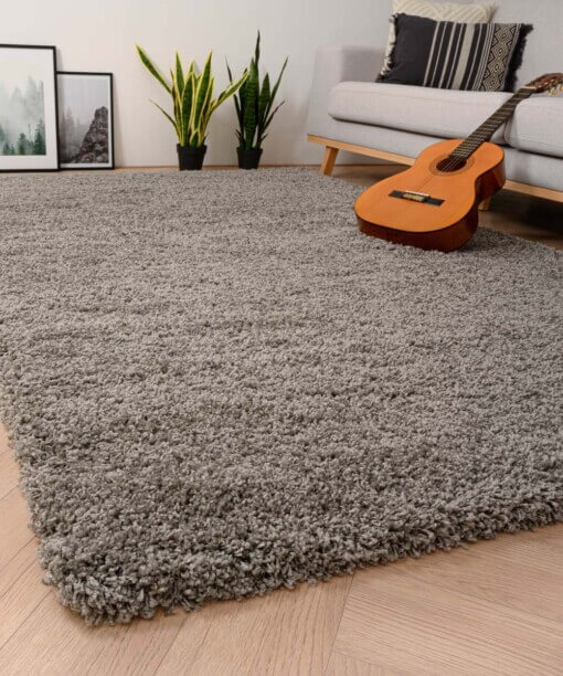 Tapis poils longs Shaggy Grand - gris clair