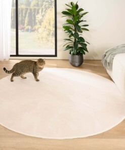 Tapis Rond poil ras moelleux - Plush Crème