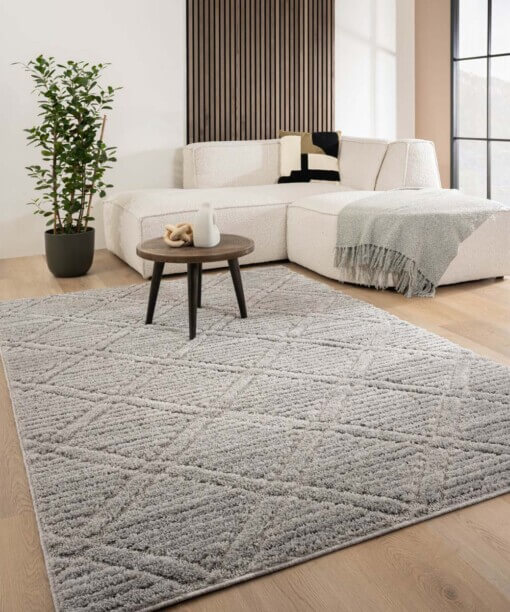 Tapis scandinave - Arc Gem gris clair